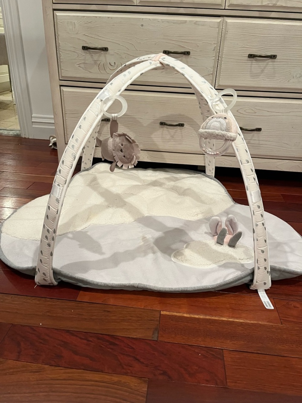 Pottery Barn kids skip hop activity gym